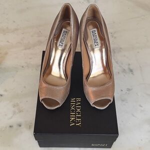Badgley Mischka Elegant Blush Pink/Silver Peep-Toe Heels